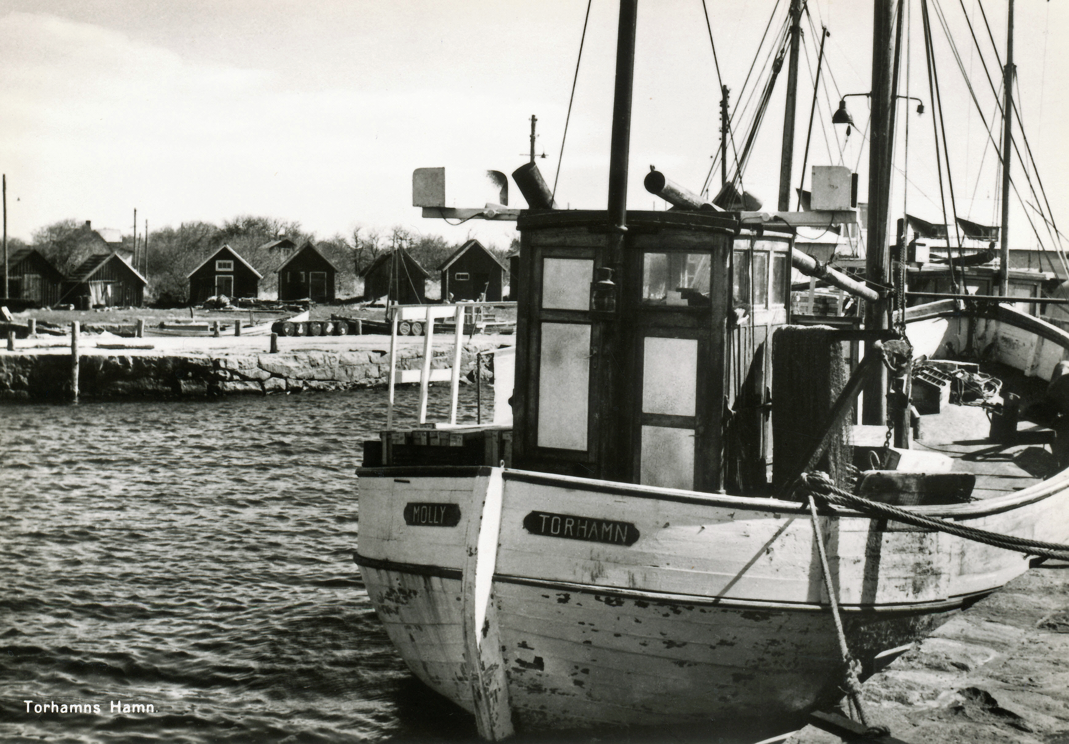 FiskebÃ¥ten Molly i Torhamns hamn. Kortet Ã¤gs av Sven Ekelin.


